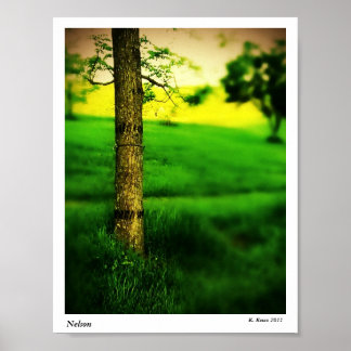 Poster Nelson