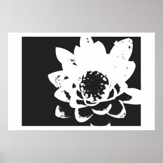 Poster nénuphar noir et blanc