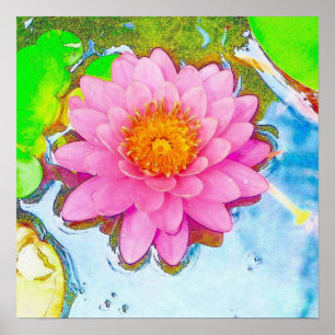 Poster Nénuphar rose