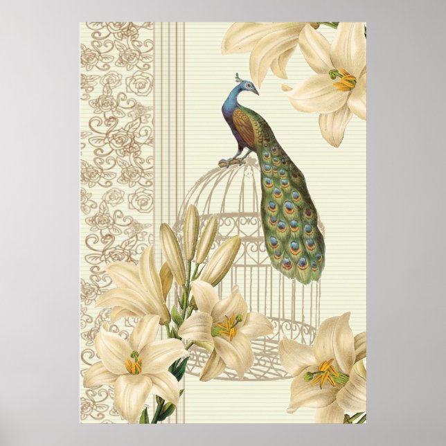 Poster nénuphar vintage paon (Devant)