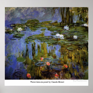 Poster Nénuphars dans un étang par Claude Monet