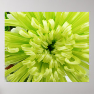 Poster Neon Green Flower Football Mum Gros plan Arrière -