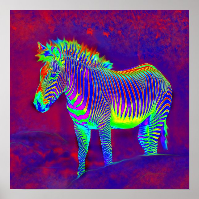 Poster neon zebra (Devant)