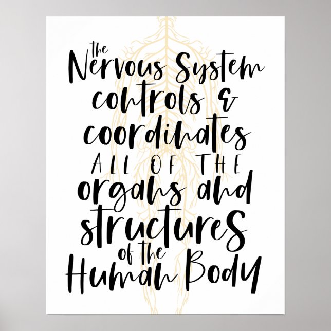 Poster Nervous System Poster, Chiropractic Poster, Chiro  (Devant)