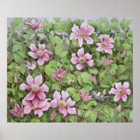 Nesting in Clematis