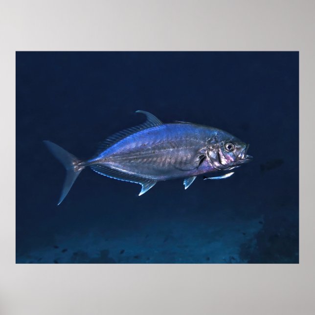 Poster Nettoyage Jack (Devant)