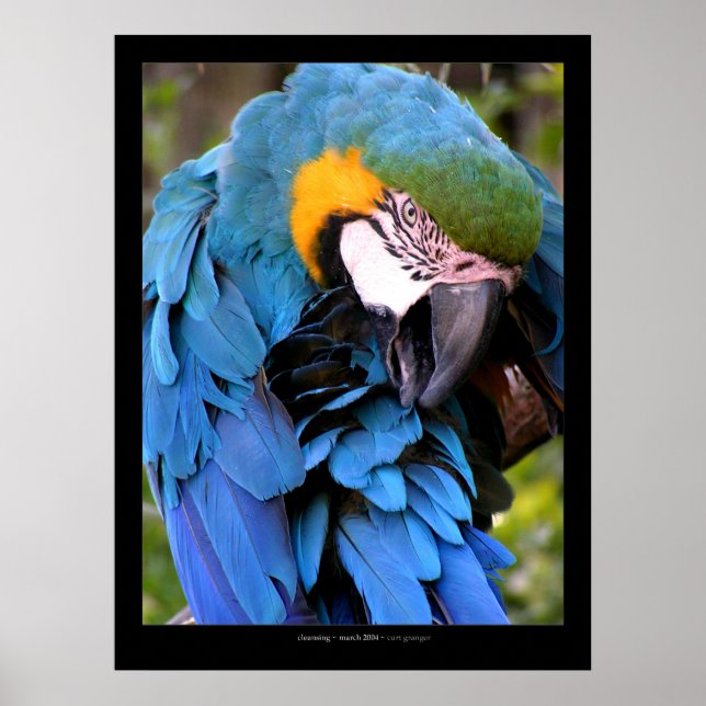 Poster Nettoyer (Devant)