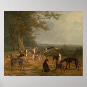 Poster Neuf Greyhounds dans un paysage