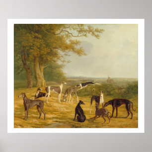 Poster Neuf lévriers dans un paysage (huile sur la toile)