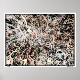 Poster Neurones