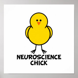 Poster Neuroscience Chick