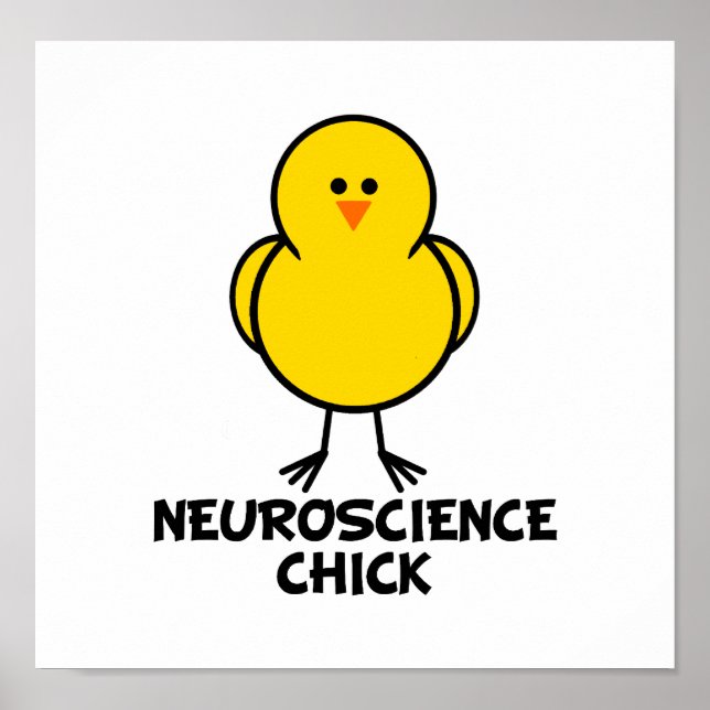 Poster Neuroscience Chick (Devant)