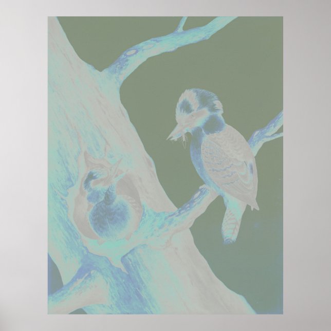 Poster Neville HP Cayley - Rire Kookaburra (Devant)