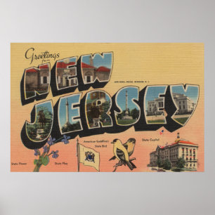 Poster New Jersey (capitale de l'État/fleur/oiseau)