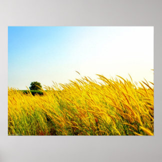 Poster "New Life in Eden" Photographie Imprimer