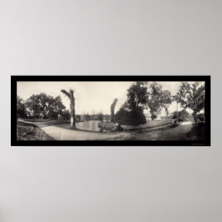 Poster New Orleans City Park Photo 1909
