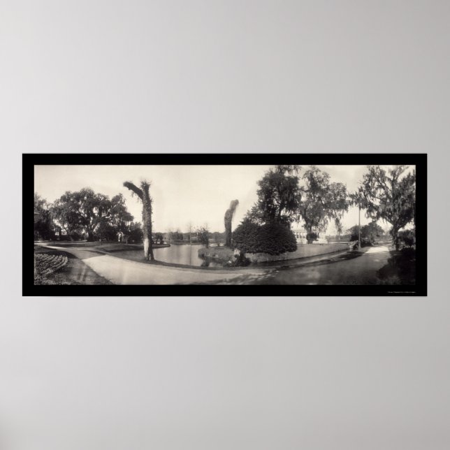 Poster New Orleans City Park Photo 1909 (Devant)