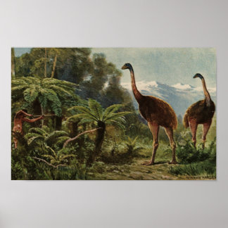 Poster new zealand