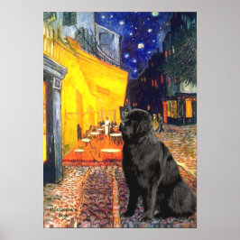 Poster Newfie 1 - Terrace Café