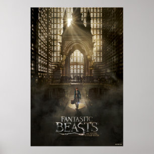 Poster NEWT SCAMANDER™ au siège de MACUSA™