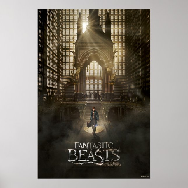 Poster NEWT SCAMANDER™ au siège de MACUSA™ (Devant)