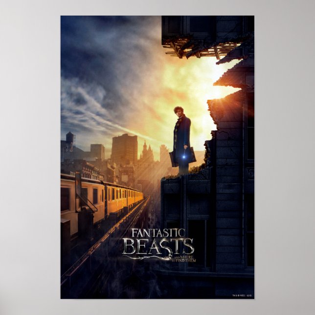 Poster NEWT SCAMANDER™ dans un bâtiment détruit (Devant)