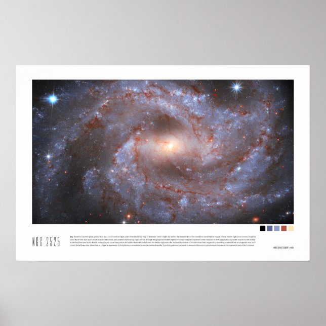 Poster NGC 2525 (télescope spatial Hubble) (Devant)