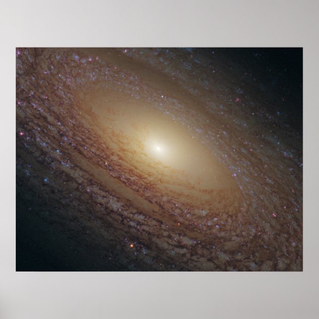Poster NGC 2841 Galaxie spirale (Devant)