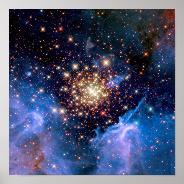 Poster NGC 3603 Star Cluster - NASA Hubble Space Photo (Devant)