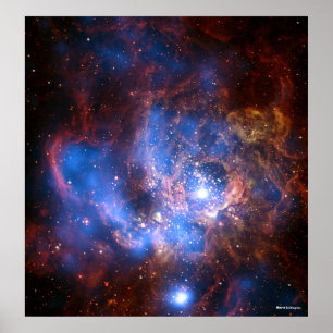 POSTER NGC 604