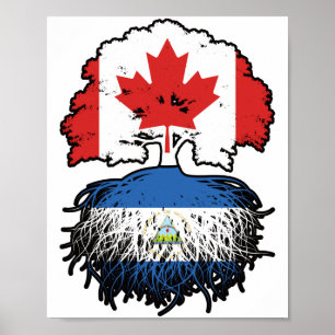 Poster Nicaragua Origines de l'arbre canadien nicaraguaye
