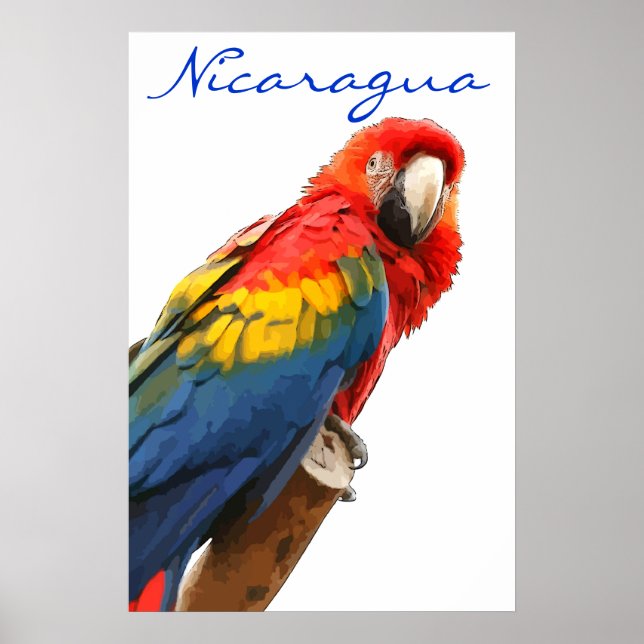 Poster Nicaragua Scarlet Macaw (Devant)