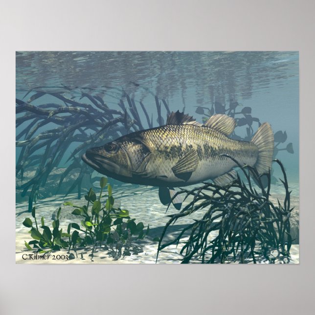 Poster Nice Catch (Devant)