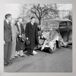 Poster Nice Rack, 1938