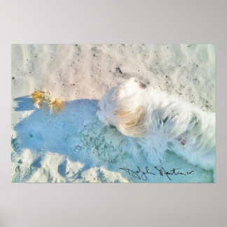 Poster Nicholas & Friend