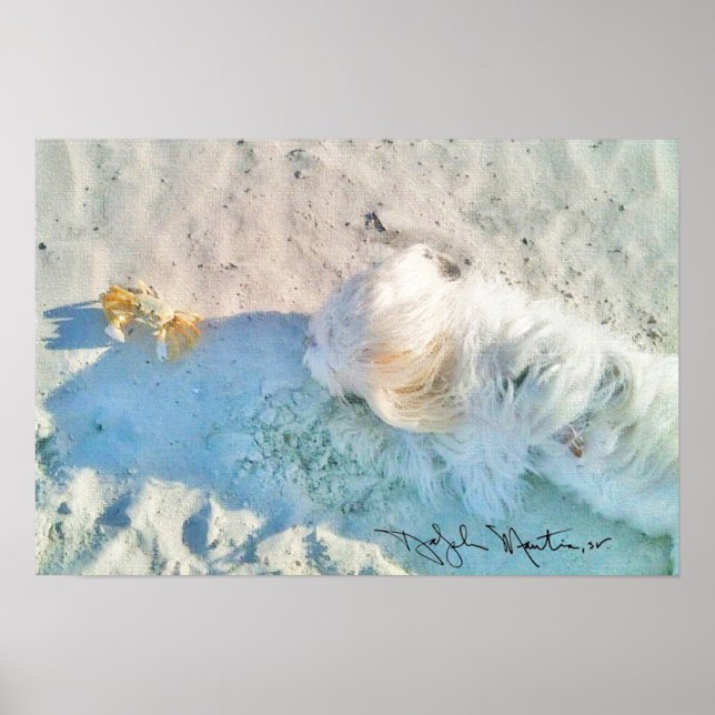 Poster Nicholas & Friend (Devant)