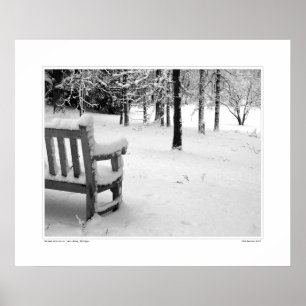 Poster Nichols Arboretum #3