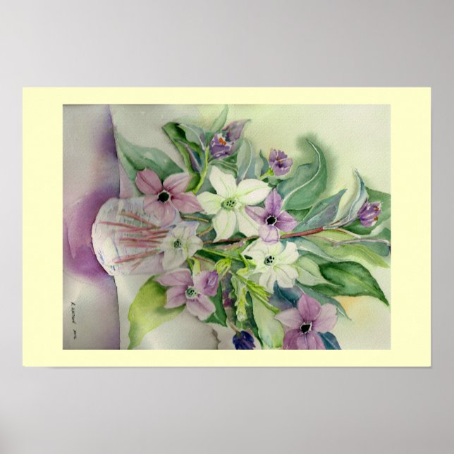 Poster Nicotiana Bouquet (Devant)