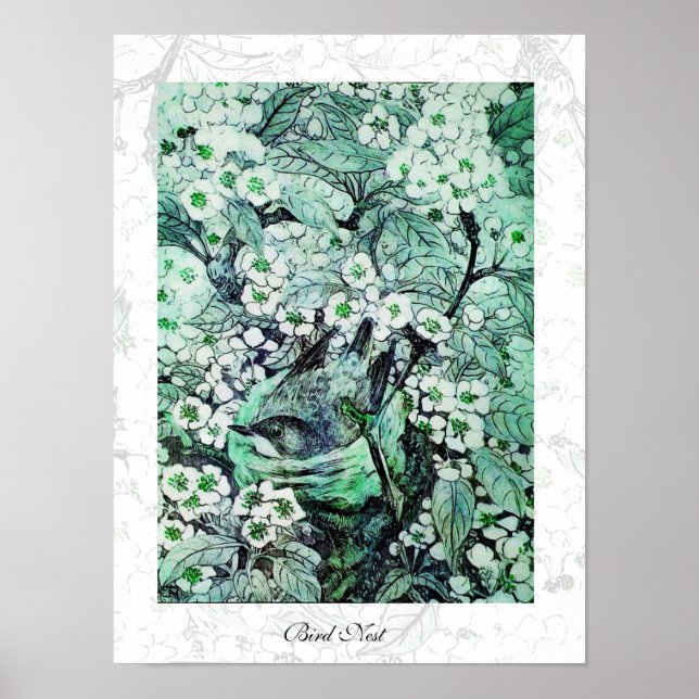 Poster NID D'OISEAU, blanc vert (Devant)