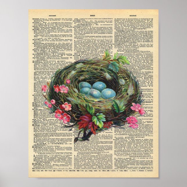 Poster Nid d'oiseaux de printemps sur la page du dictionn (Devant)