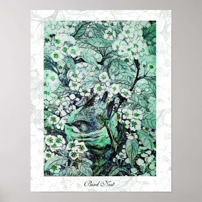 Poster NID OISEAU, vert blanc (Devant)