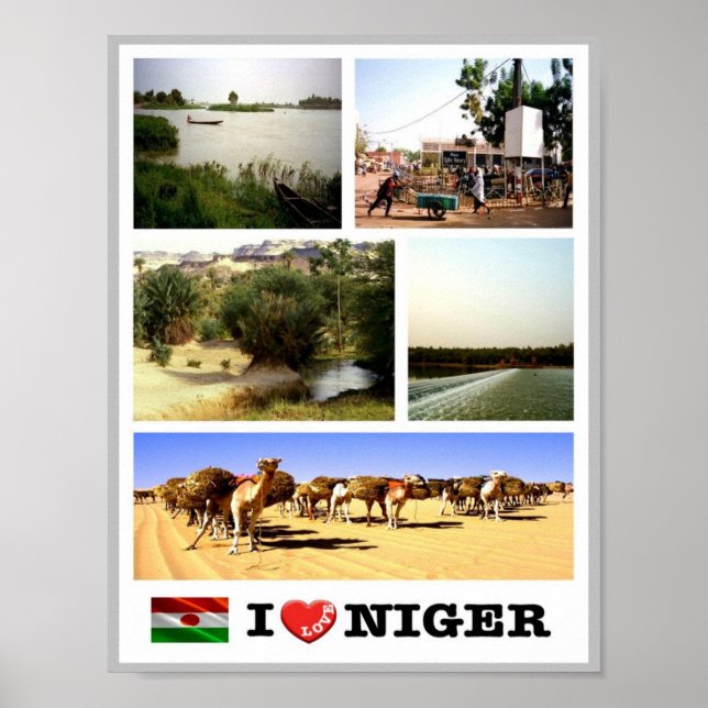 Poster Niger - Drapeau d'agitation - (Devant)