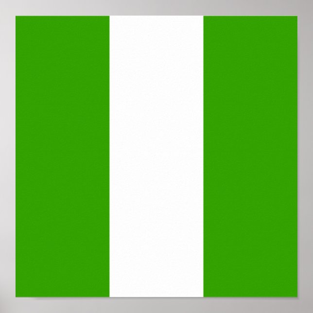 Poster Nigeria Drapeau Afrique Nigérian Pays Pays Home Pa (Devant)