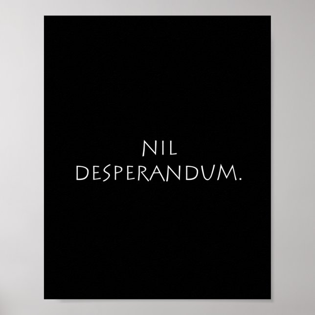 Poster Nil Desperforme (Devant)