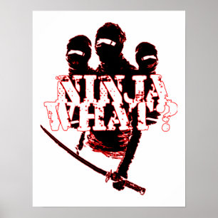 POSTER NINJA CE QUI ?