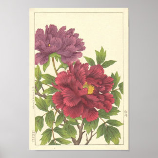Poster Nishimura Hodo Peony Fleurs japonaises Art