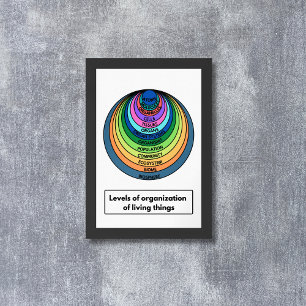 Poster Niveaux d'organisation des êtres vivants