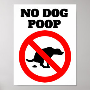 Poster No Dog Poop Modern Simple Message Sign