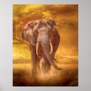 Poster Noblesse des éléphants africains