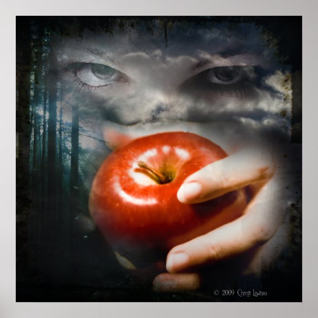 Poster Nocturne (homonymie) (Devant)